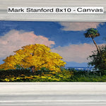 Mark Stanford 8x10