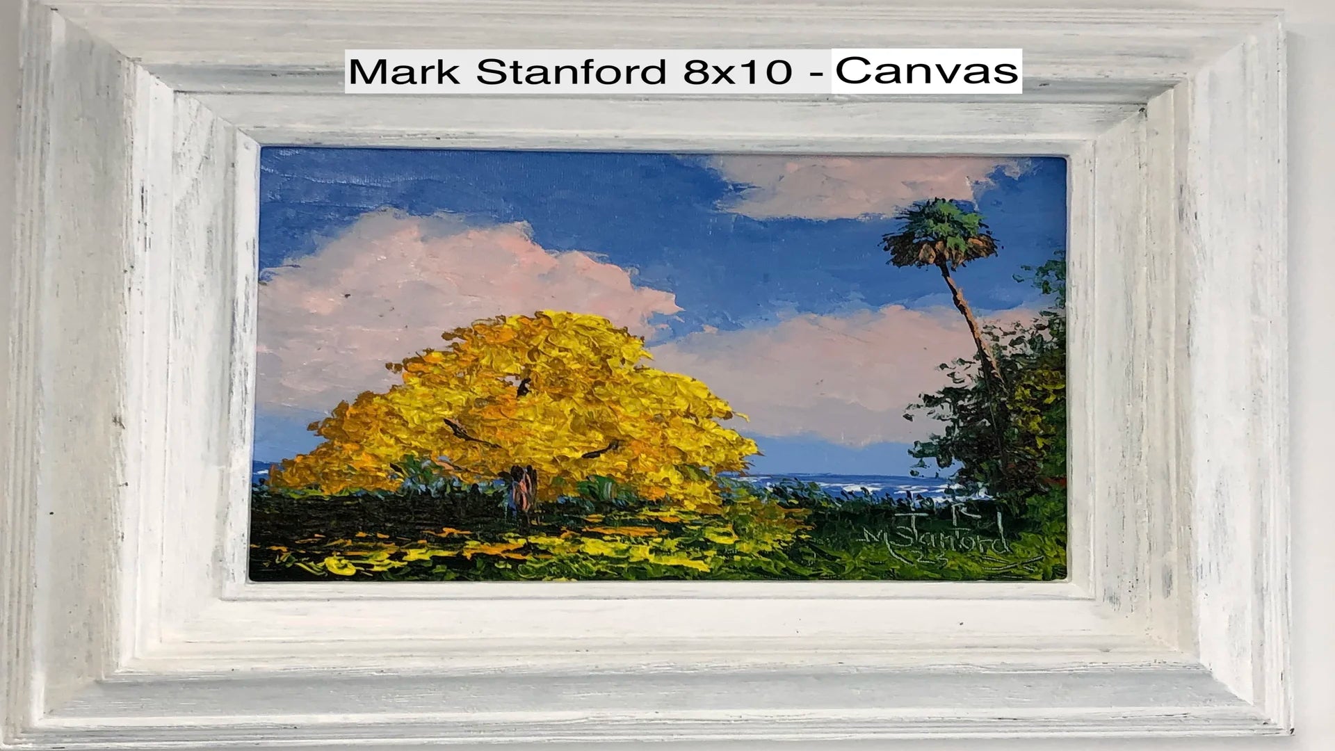 Mark Stanford 8x10