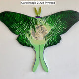 Carol Knapp 24X28 Plywood - Luna Moth