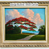 George Buckner 16X20 Canvas - Royal Poinciana