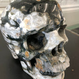 Indian Agate Gemstone Skull 6X4.5